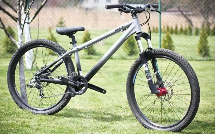 Bicyclettes BMX (43 photos): Qu'est-ce que c'est? Comment choisir? Vue d'ensemble du vélo Haro, Khe et autres 8529_29