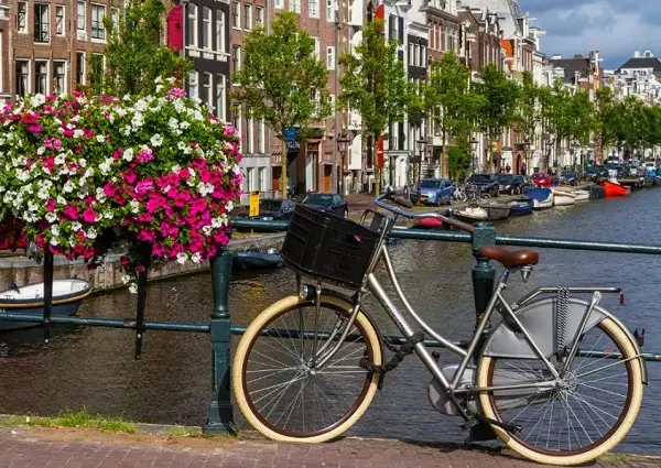 Kaupunkipyörät (35 kuvaa): Kompaktit polkupyörät, joilla on planeettahihainen ja runko kaupunki ja karkea maasto 8535_8
