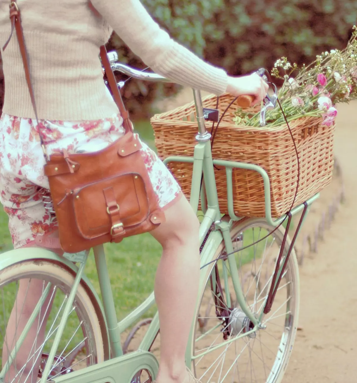 Female bike with basket: Dame city walking and countryside bike with basket ahead 8537_17