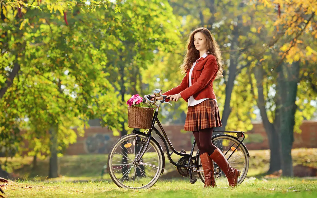 Female bike with basket: Dame city walking and countryside bike with basket ahead 8537_7