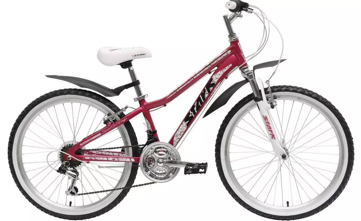 دوچرخه برای نوجوانان از 9 سالگی: امتیاز دوچرخه کودکان برای یک پسر و دختران بزرگتر از 9 سال سن. چگونه یک اندازه را انتخاب کنید؟ 8552_9