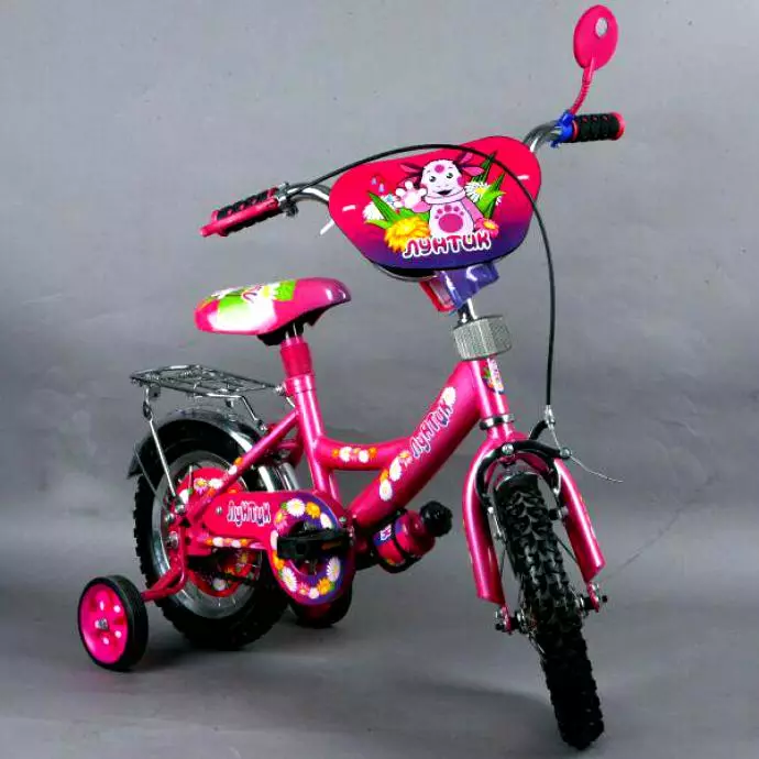Cykel för en tjej 4 år: granskning av barns ljusa cyklar med en korg och utan. Vad är bättre att välja? 8556_10