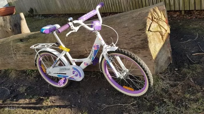 Bikes Children 20 Inches: Rêjeya Bicycles Light Light Bi Wheel Size 20 inches, Modelên çêtirîn ên ji bo zarokan 8560_14