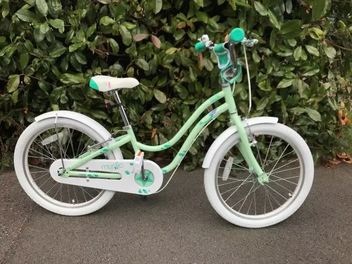 Bikes Children 20 Inches: Rêjeya Bicycles Light Light Bi Wheel Size 20 inches, Modelên çêtirîn ên ji bo zarokan 8560_19