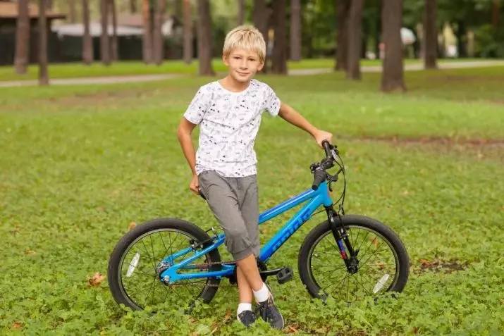 Børnecykler 20 tommer: Lys Teenage Cykelbedømmelse med hjulstørrelse 20 inches, bedste foldemodeller til børn 8560_2