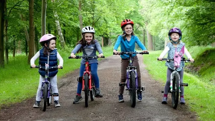 Bikes Children 20 Inches: Rêjeya Bicycles Light Light Bi Wheel Size 20 inches, Modelên çêtirîn ên ji bo zarokan 8560_21