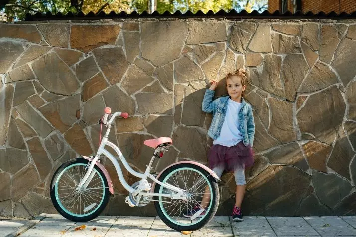 Børnecykler 20 tommer: Lys Teenage Cykelbedømmelse med hjulstørrelse 20 inches, bedste foldemodeller til børn 8560_6
