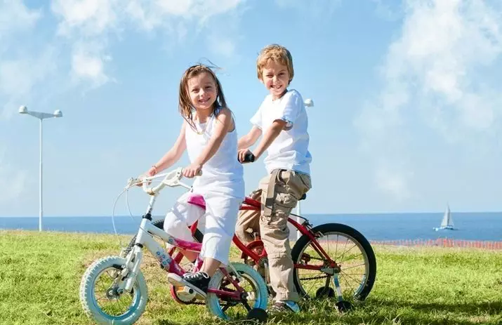 Bikes Children 20 Inches: Rêjeya Bicycles Light Light Bi Wheel Size 20 inches, Modelên çêtirîn ên ji bo zarokan 8560_7