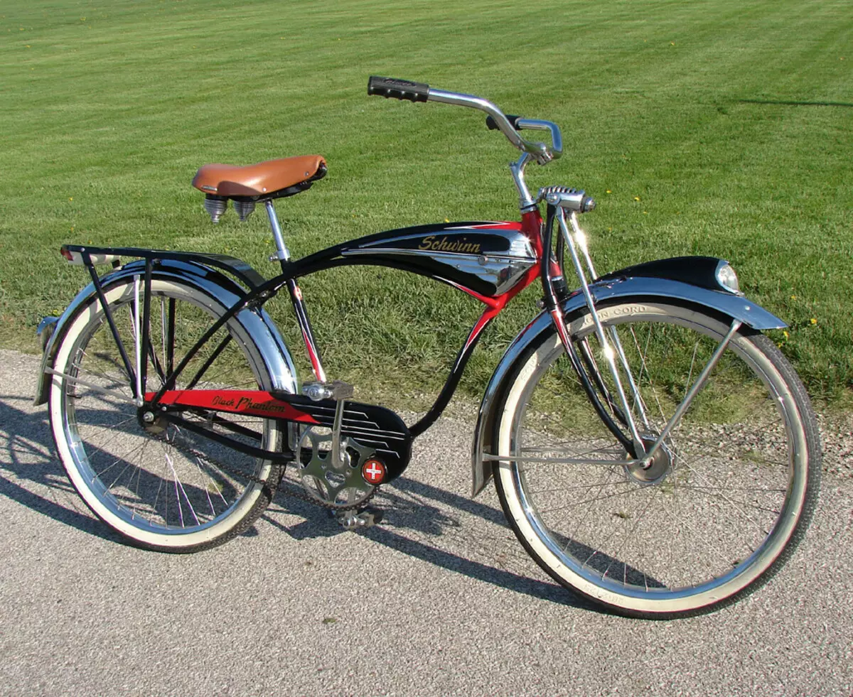 Bike cruiser: what is it? Features of female and men's cycles, schwinn and stels brands review. How to choose the best? 8561_15