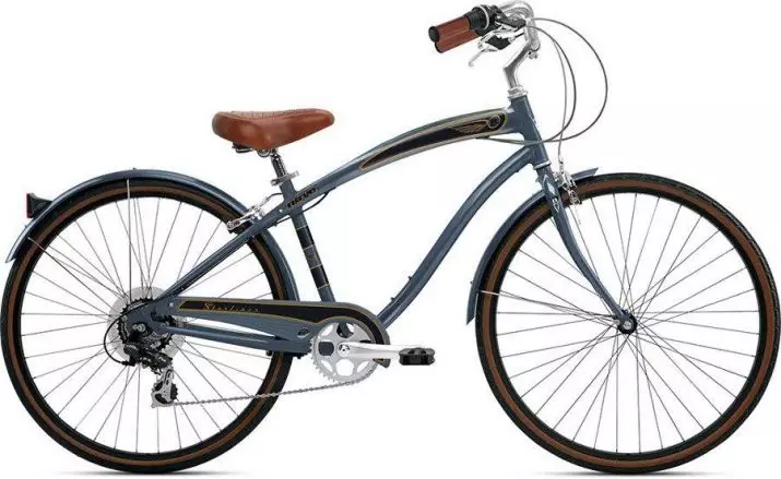 Xe đạp Cruiser: Nó là gì? Các tính năng của chu kỳ nữ và nam giới, đánh giá thương hiệu Schwinn và PLELS. Làm thế nào để chọn tốt nhất? 8561_20