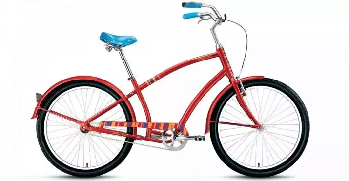 Xe đạp Cruiser: Nó là gì? Các tính năng của chu kỳ nữ và nam giới, đánh giá thương hiệu Schwinn và PLELS. Làm thế nào để chọn tốt nhất? 8561_30