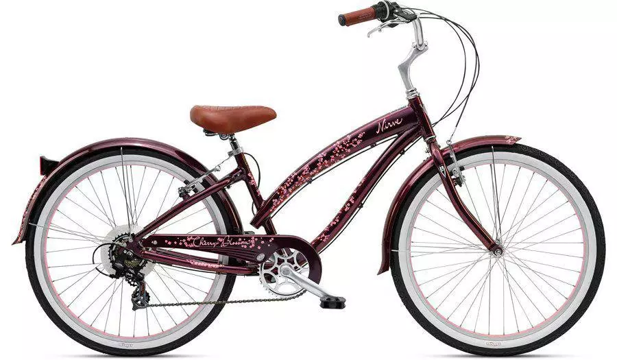 Bike Cruiser: Mis see on? Naiste ja meeste tsüklite omadused, Schwinn ja Stels Brands Review. Kuidas valida parim? 8561_6