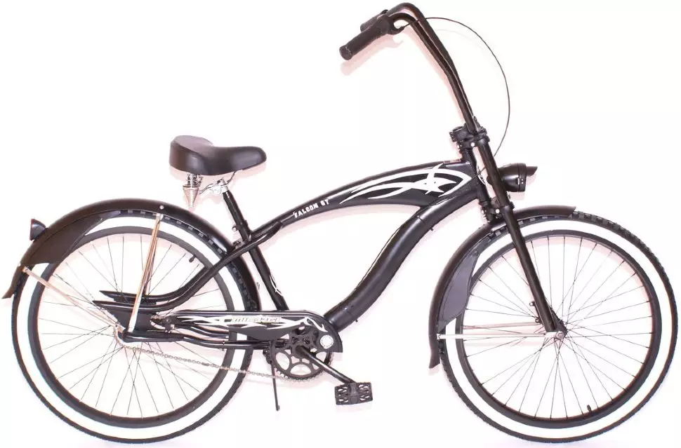 Xe đạp Cruiser: Nó là gì? Các tính năng của chu kỳ nữ và nam giới, đánh giá thương hiệu Schwinn và PLELS. Làm thế nào để chọn tốt nhất? 8561_8