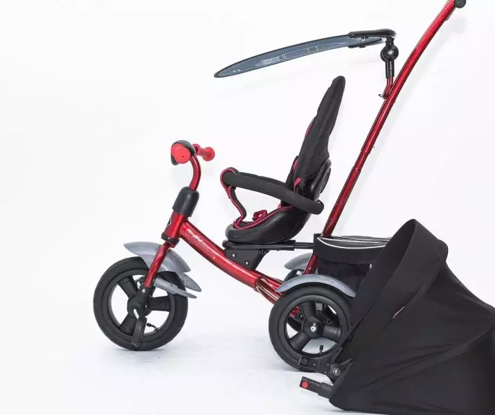 Kinderfietsen Lexus Trike: een beschrijving van driewielige fietsen voor kinderen. Hoe te kiezen? 8572_21