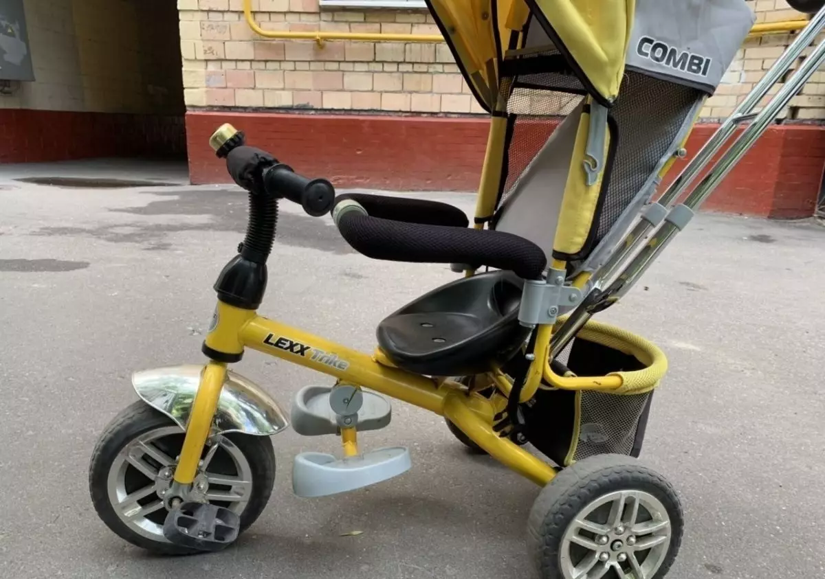 Barnens cyklar Lexus Trike: En beskrivning av trehjuliga cyklar för barn. Hur man väljer? 8572_9