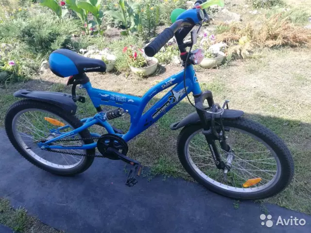 Cykler til drenge er 7 år gammel: Hvilken slags cykel er bedre at vælge en syvårig dreng? Valg af størrelse. 8576_3