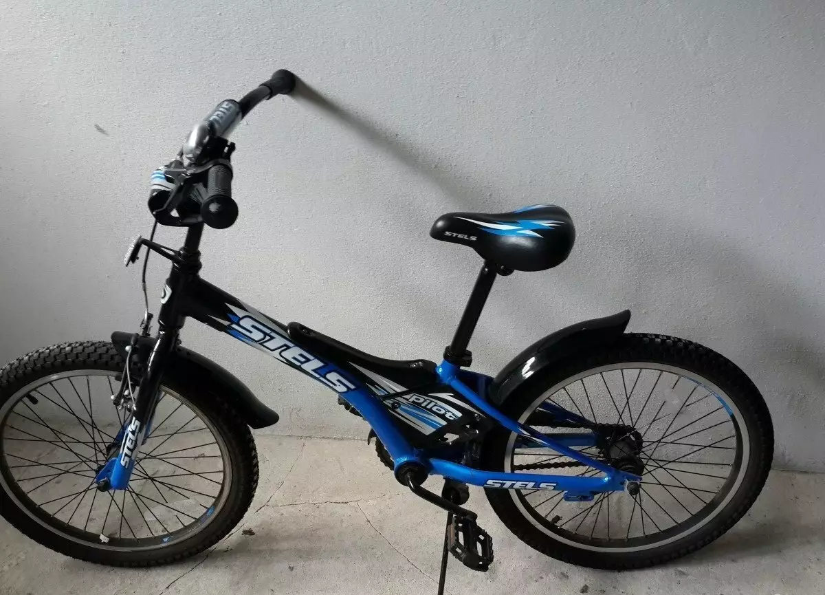 Cykler til drenge er 7 år gammel: Hvilken slags cykel er bedre at vælge en syvårig dreng? Valg af størrelse. 8576_9