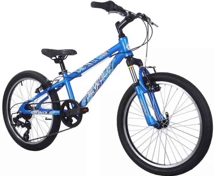 Rowery dla dziewcząt 8-9 lat: jak wybrać rower dla dzieci dla dziewcząt 8-9 lat? Sport i inne modele 8580_19