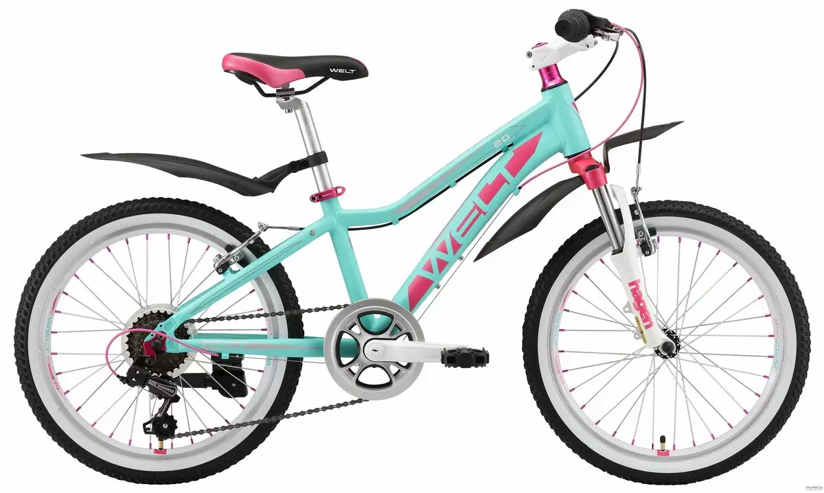Rowery dla dziewcząt 8-9 lat: jak wybrać rower dla dzieci dla dziewcząt 8-9 lat? Sport i inne modele 8580_2