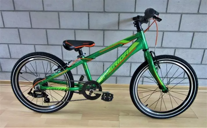 Rowery dla dziewcząt 8-9 lat: jak wybrać rower dla dzieci dla dziewcząt 8-9 lat? Sport i inne modele 8580_20