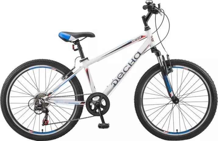 Bicyclettes pour adolescents: Comment choisir un garçon de vélo de 6-7 et 8-9, 10-13 et 14-15 ans? Vélos pliants 24 pouces et autres modèles 8582_21