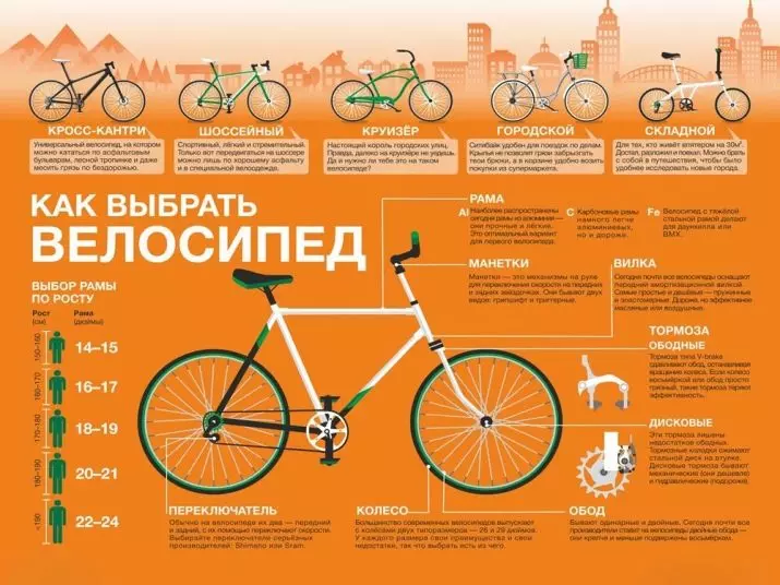 Bicyclettes pour adolescents: Comment choisir un garçon de vélo de 6-7 et 8-9, 10-13 et 14-15 ans? Vélos pliants 24 pouces et autres modèles 8582_6