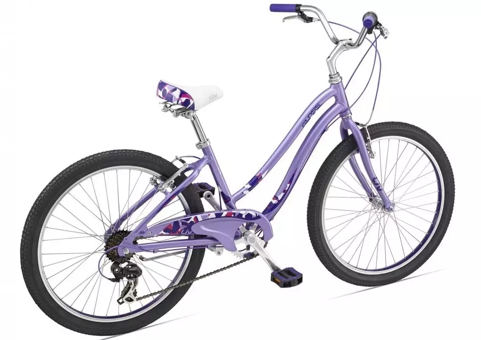 Fietse vir meisies 10-12 jaar oud: watter soort fiets om 'n meisie van 11 jaar te kies? Oorsig van vou sport en ander fietse 8590_13