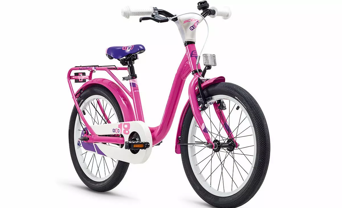 Polkupyörät tytöille 10-12-vuotiaat: millaista polkupyörä valita tyttö 11 vuotta? Yleiskatsaus taittuva urheilu ja muut polkupyörät 8590_15