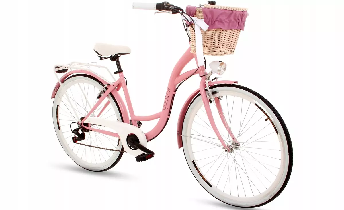 دوچرخه برای دختران 10-12 ساله: چه نوع دوچرخه برای انتخاب یک دختر 11 ساله؟ مرور اجمالی از ورزش های تاشو و دوچرخه های دیگر 8590_5