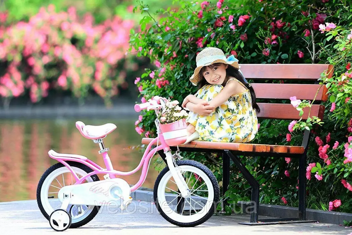 Bike tüdrukule 6 aastat vana: milline laste jalgratas valida? Parimate kergete kaherattaliste ja muude mudelite ülevaade 8593_12