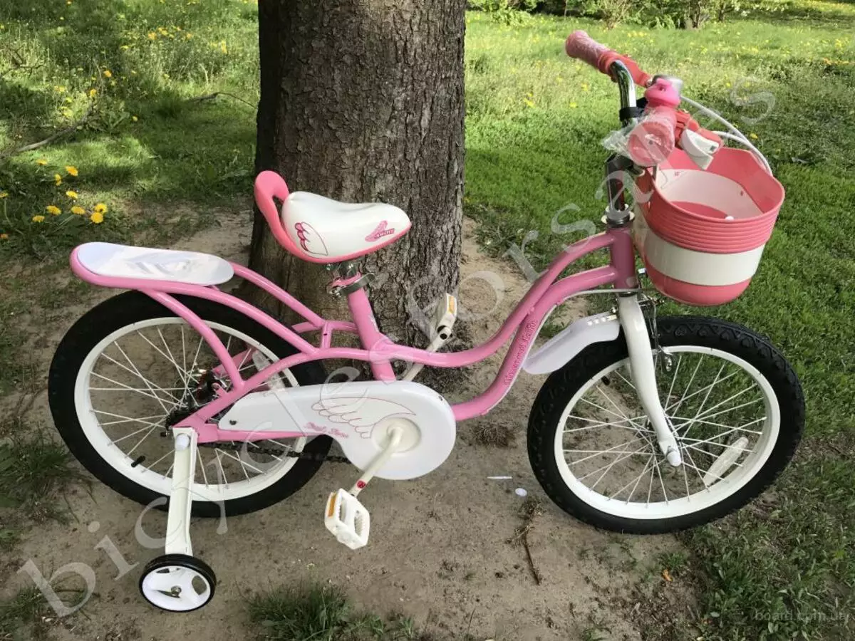 دوچرخه برای دختر 6 ساله: چه نوع دوچرخه کودکان را انتخاب کنید؟ بررسی بهترین مدل های دو چرخ و دیگر نور 8593_13