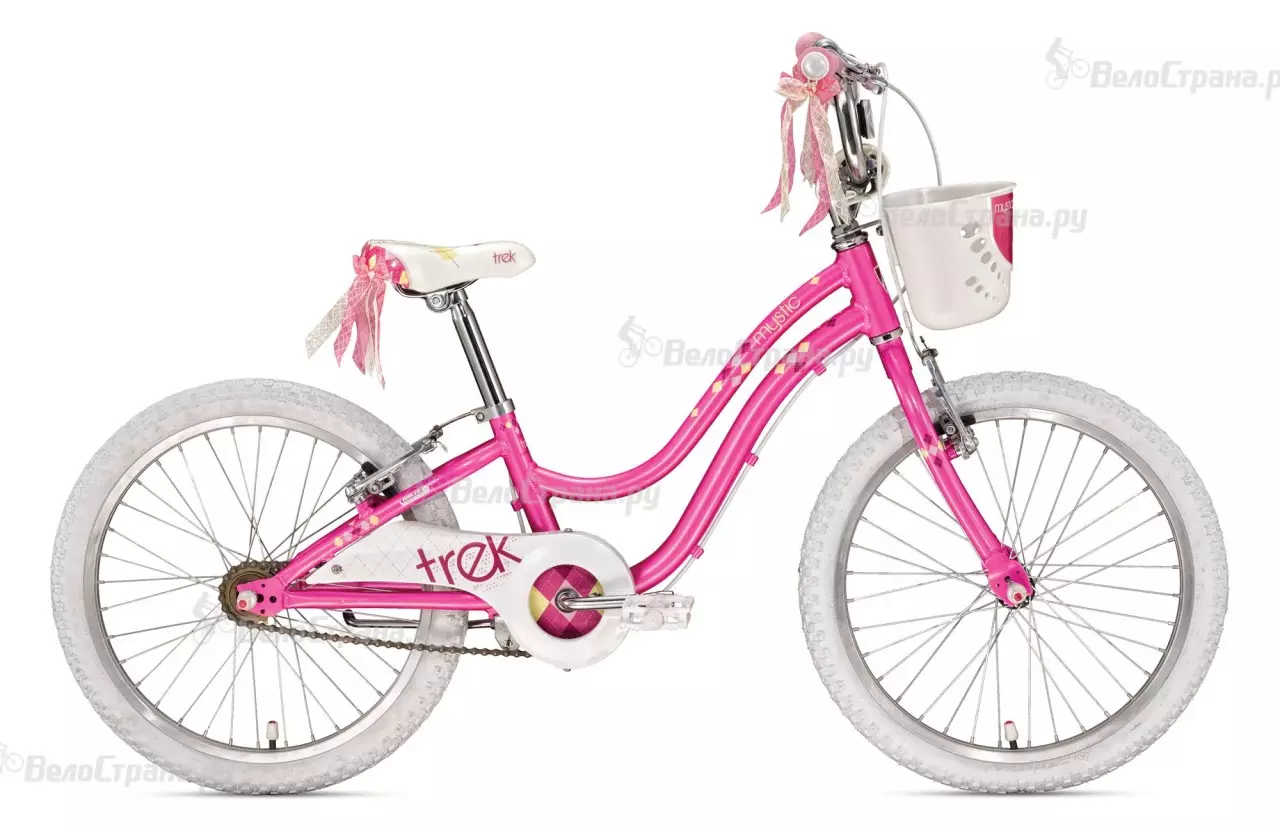 Ποδήλατο για το κορίτσι 6 ετών: Τι είδους ποδήλατο παιδιών να επιλέξει; Αναθεώρηση του καλύτερου φωτός δύο τροχών και άλλων μοντέλων 8593_6
