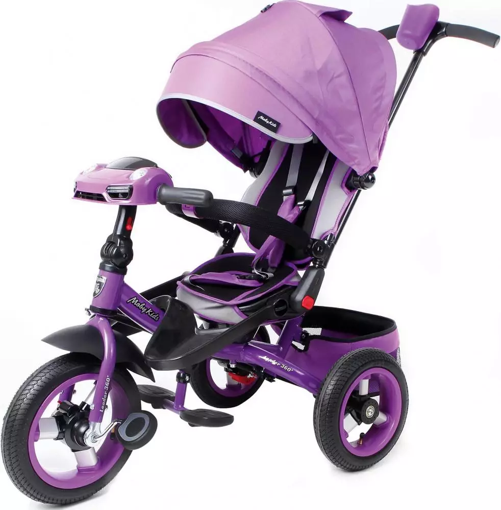 Barnas sykler fra 1 år: Oversikt over trehjulede modeller for barn opptil 3 år, de beste spaserturer transformatorer for ett år gamle barn 8599_21