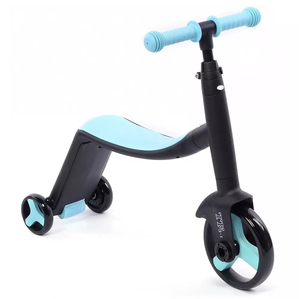 Biçikleta për fëmijë nga 1 vit: Përmbledhje e modeleve me tre rrota për fëmijët deri në 3 vjet, biçikletat më të mira në këmbë transformatorët për fëmijët njëvjeçar 8599_4