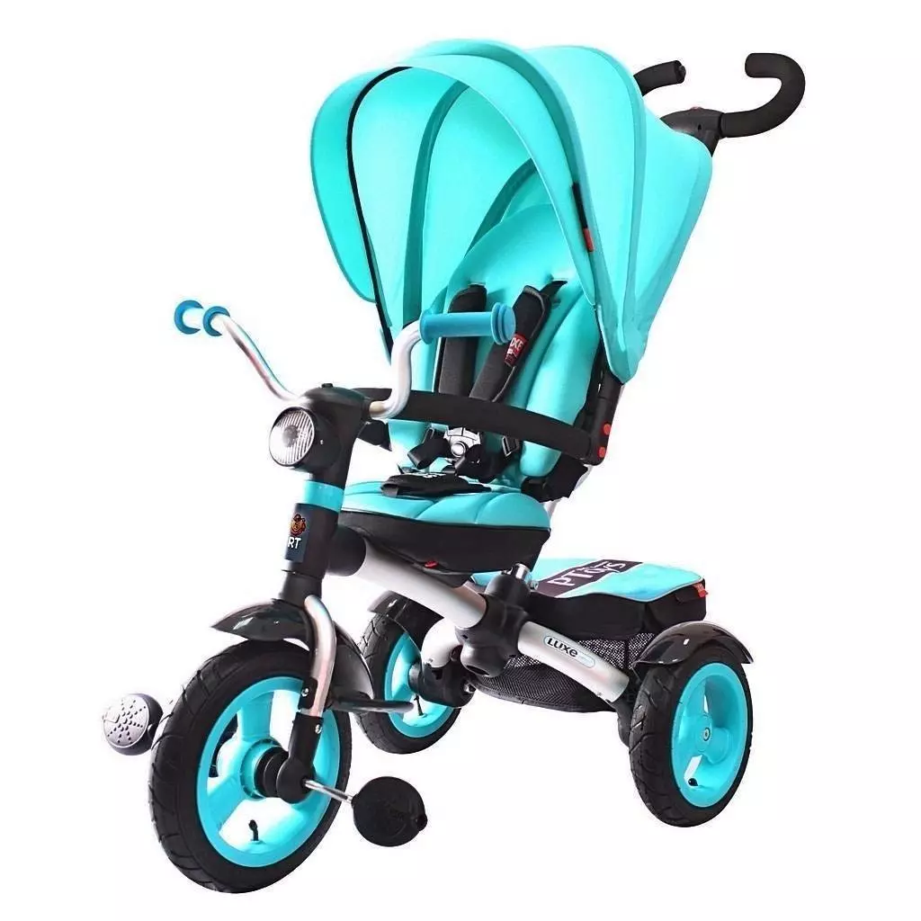 Barnas sykler fra 1 år: Oversikt over trehjulede modeller for barn opptil 3 år, de beste spaserturer transformatorer for ett år gamle barn 8599_9
