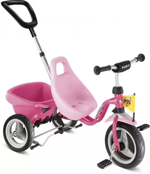 Bicycles from 3 to 5 years old: Selection of lightweight bike for boys and girls 8601_20