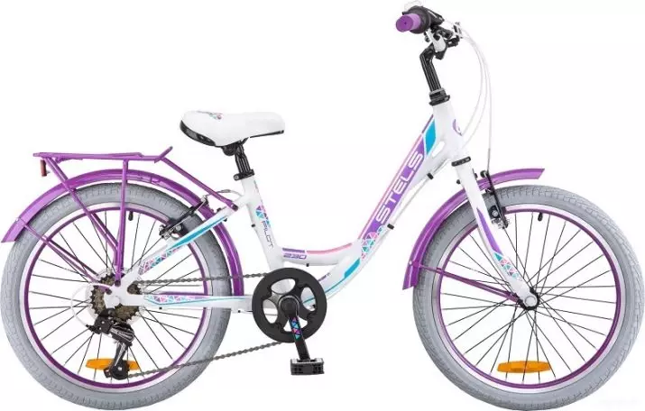 Basikal kanak-kanak dari 4 tahun: Bagaimana untuk memilih basikal ringan untuk kanak-kanak? Penarafan basikal terbaik untuk kanak-kanak lelaki dan perempuan 4-6 tahun 8602_14