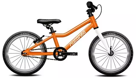 Basikal kanak-kanak dari 4 tahun: Bagaimana untuk memilih basikal ringan untuk kanak-kanak? Penarafan basikal terbaik untuk kanak-kanak lelaki dan perempuan 4-6 tahun 8602_18