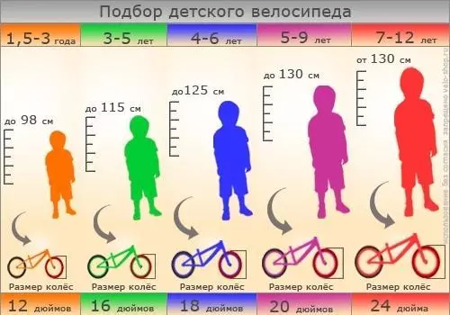 4 жилийн унадаг дугуйн унадаг дугуй: Хүүхэддээ гэрлийн дугуйг хэрхэн сонгох вэ? Хөвгүүд, охидын хамгийн сайн унадаг дугуйг 4-6 жил 8602_24