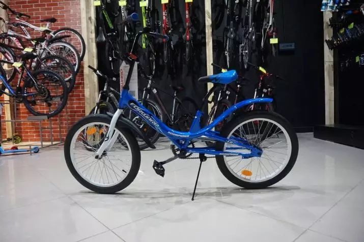 Bicicletas para nenos Adiante: Descrición xeral da bicicleta da serie Cosmo e Barrio, modelos de dobramento para nenas e nenos 8606_13