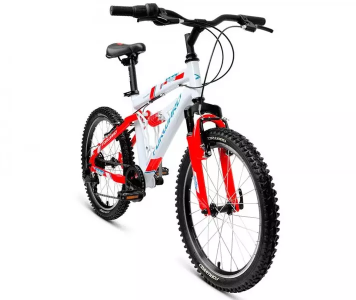 Bicicletas para niños Adelante: Bicicleta Descripción general de la serie COSMO y barrio, modelos plegables para niñas y niños. 8606_5