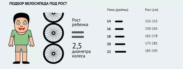 bicicletes per a nens bicicletes Merida: 16-18 i 20 polzades Princess i altres models per a nenes i nens 8612_24