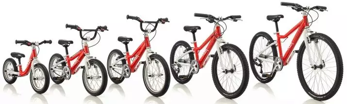 Aiom Bicycle: Woom 2, Aid 3 i drugi pregled bicikala. Suptilnosti za odabir bicikala 8618_2