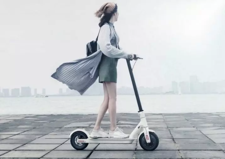 Scooters para um adolescente (21 fotos): classificação de boas scooters com grandes e pequenas rodas para meninos e meninas 9-12 e 14 anos de idade. Como escolher o mais legal? 8644_16