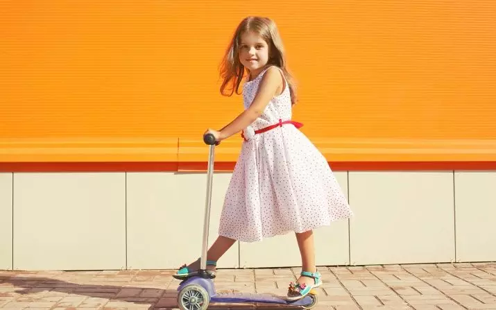 Hoe om 'n scooter vir 'n kind van 8 jaar te kies? Watter bromponie is beter vir 'n meisie of seun? Oorsig van kinders se drie-wielmodelle en bromponies met groot wiele 8663_2