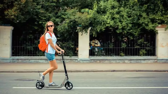 ¿Cómo plegar el scooter? ¿Cómo recoger el scooter plegable? ¿Cómo descomponer un scooter ligero y con ruedas grandes? 8665_22