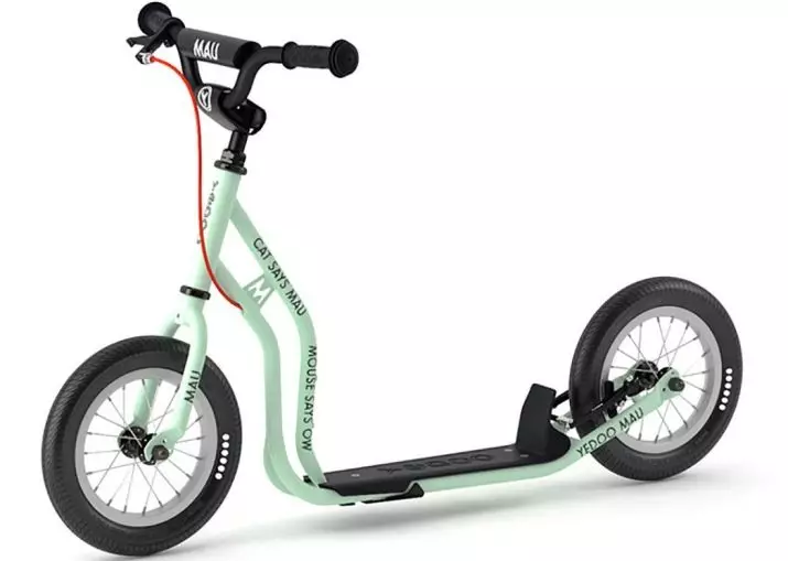 Scooter za otroka je star 10 let: kako izbrati otroški dvokolesni skuter z velikimi kolesi za dekleta in fantov? 8676_19