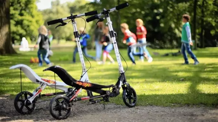 Scooter voor een kind is 10 jaar oud: hoe kies je de tweewielige scooter met kinderen met grote wielen voor meisjes en jongens? 8676_2