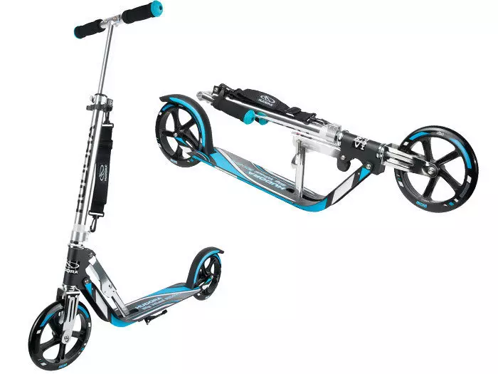 哈德拉踏板車：輪子選擇。折疊兒童和成人，城市和其他踏板車概述。他們的利弊 8693_15