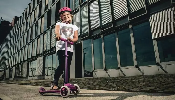 Hudora scooters: Selecció de roda. Descripció general dels nens i adults, plegables urbanes i altres scooters. Els seus avantatges i desavantatges 8693_6